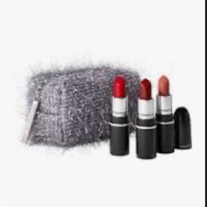 Luxurious Lipstick Set with Silver Pouch